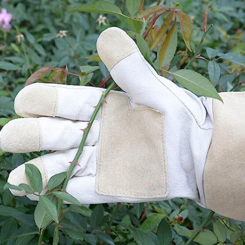 Lange, Strapazierfähige Und Stichfeste Gartenhandschuhe Aus Schweinsleder (größe M)