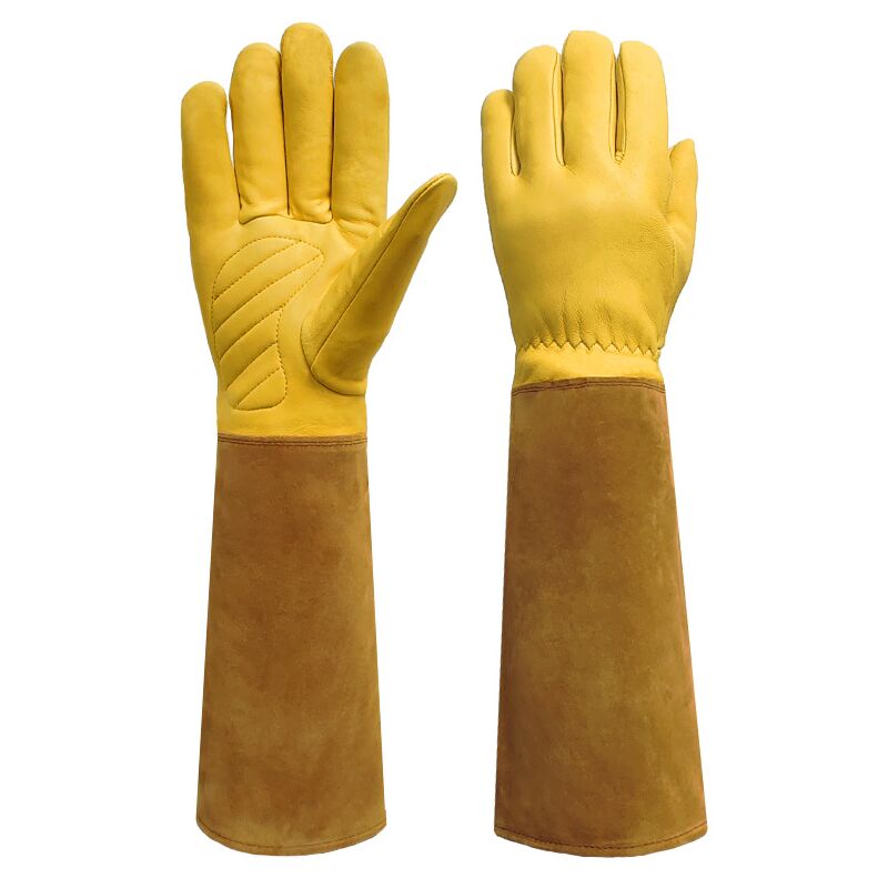 Brownie Schutzhandschuhe Gegen Dornen Und Brombeeren – Größe 11,5 Cm – Braun