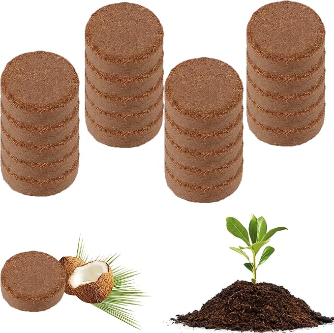 Kokosnusstabletten Für Die Pflanzenaussaat, 30 Mm Quellscheiben, 23 Stück