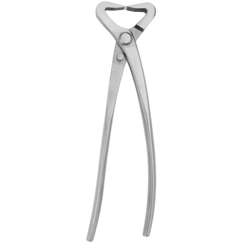 Stammspalter Silber Bonsa Modellierwerkzeug Chromlegierung 20cm Astspalter Bonsa Astschneider