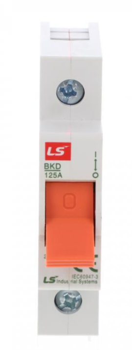 Modularer Lasttrennschalter 1p 125a Bkd-100-1 06110114r0