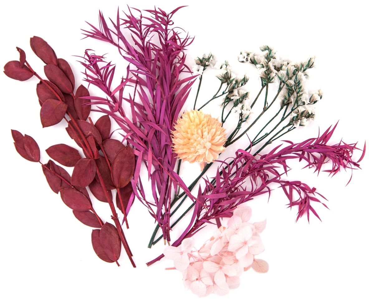 Getrocknete Zierblumen Burgunderrosa