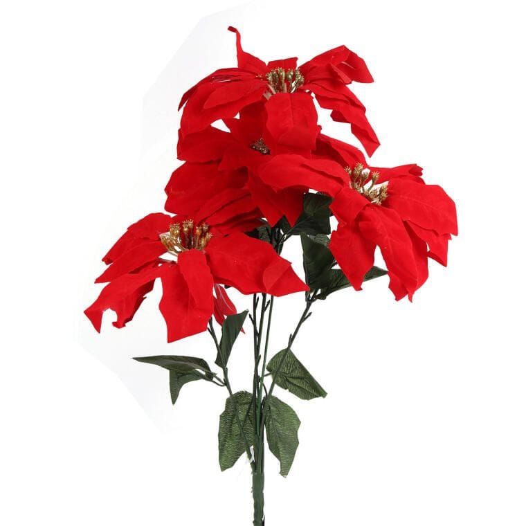 Strauß Aus 5 Künstlichen Samt-weihnachtssternen Mit Goldener Mitte, Höhe 52 Cm, Rot