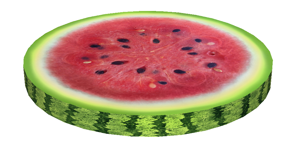 Stuhlkissen Mit Wassermelonenring