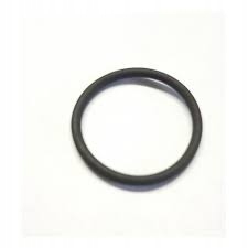 17282581 O-ring-gehäuse Neu Holland Cnh Original