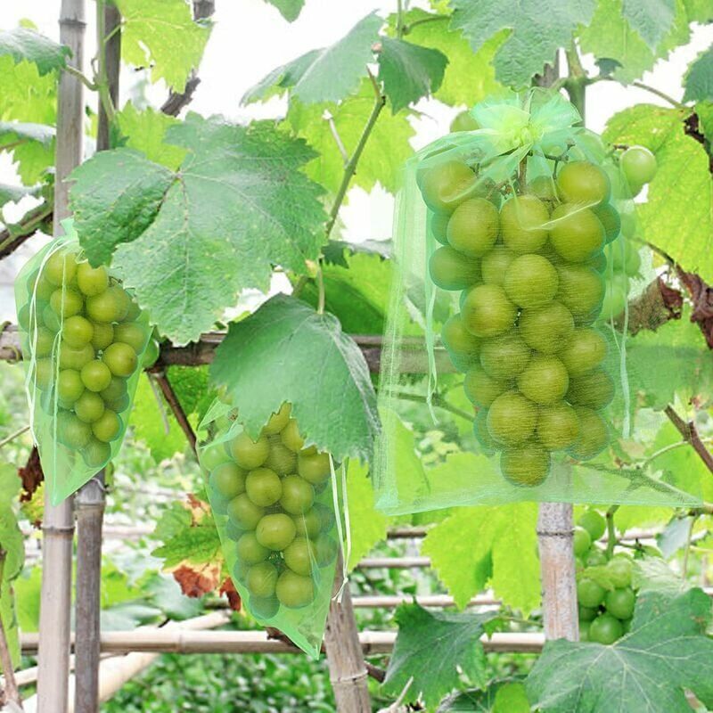 50 Stück Traubenschutzbeutel, 30 X 20 Cm, Organzabeutel, Obstschutzbeutel, Insektennetz, Schutz Und Schädlingsbekämpfung Für Den Garten (grün)