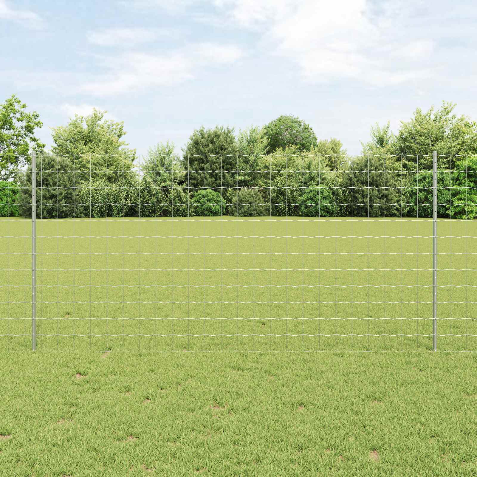 Vidaxl Eurozaun Mit Pfosten 10 X 1,2 M Verzinkter Stahl Silber Netz