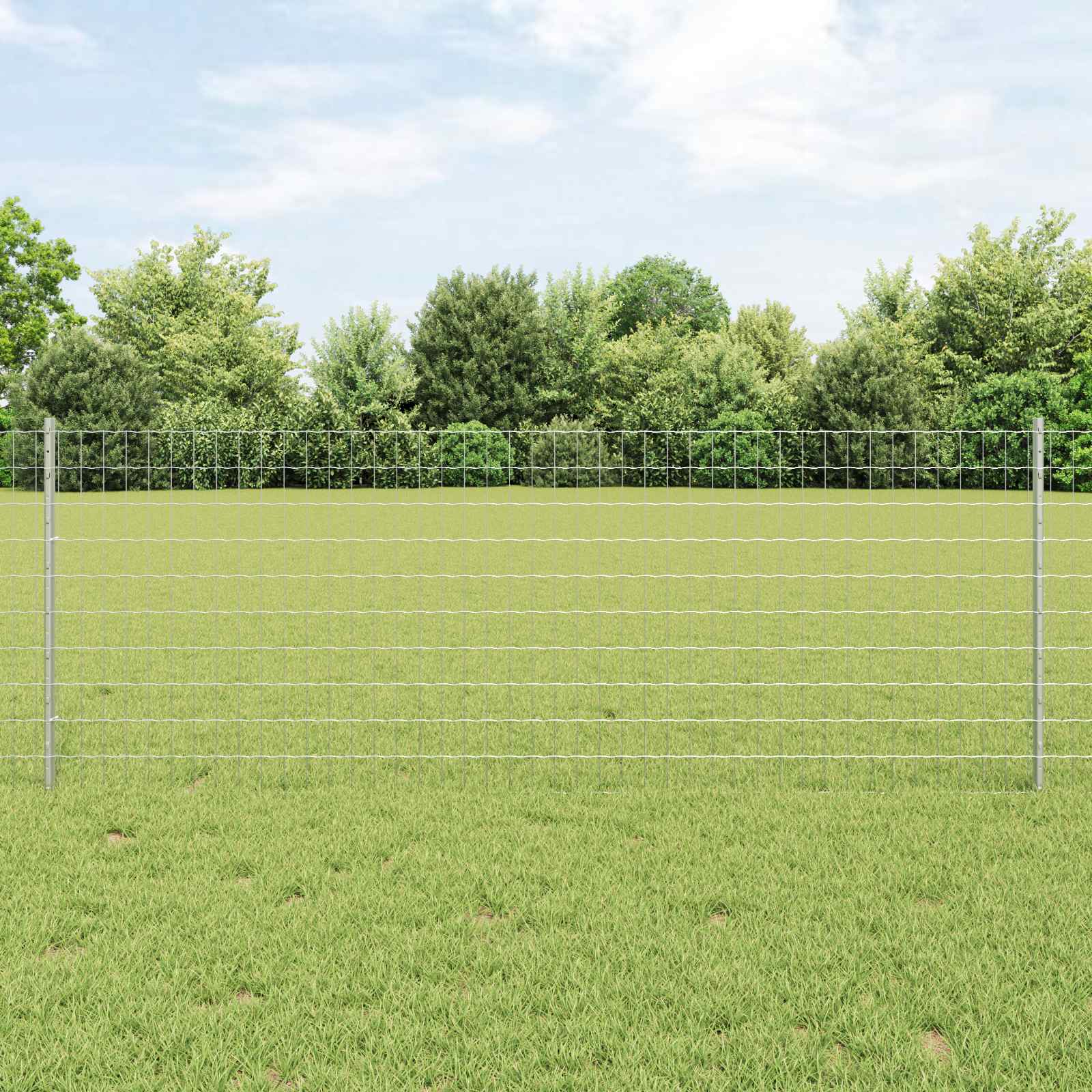 Vidaxl Eurozaun Mit Pfosten 25 X 0,8 M Verzinkter Stahl Silber Netz