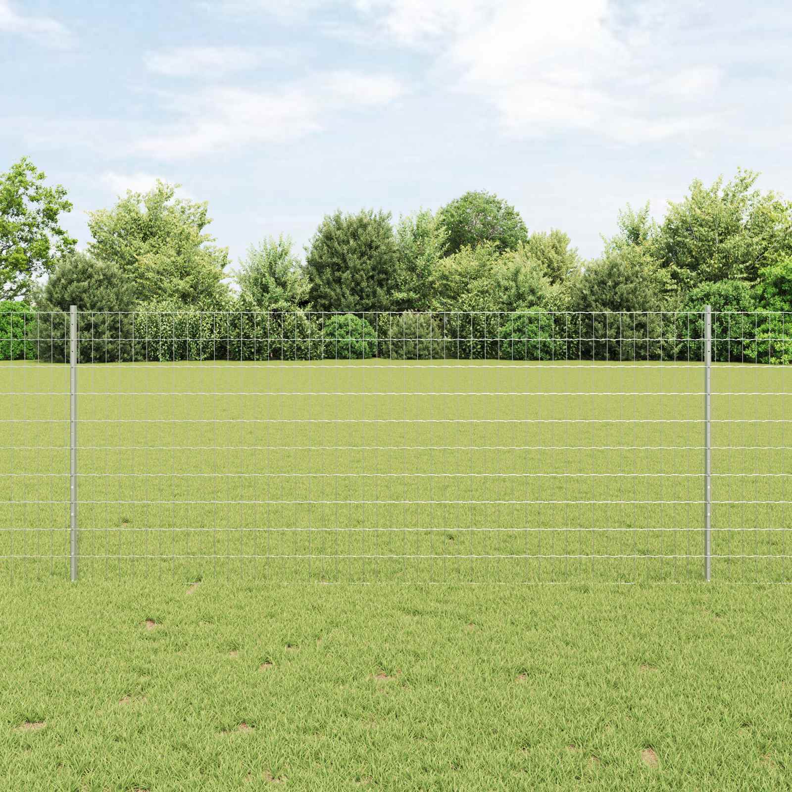 Vidaxl Eurozaun Mit Pfosten 10 X 1 M Verzinkter Stahl Silber Netz