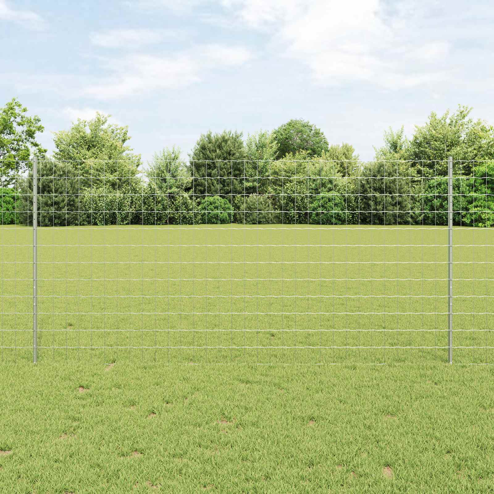 Vidaxl Eurozaun Mit Pfosten 25 X 1,2 M Verzinkter Stahl Silber Netz