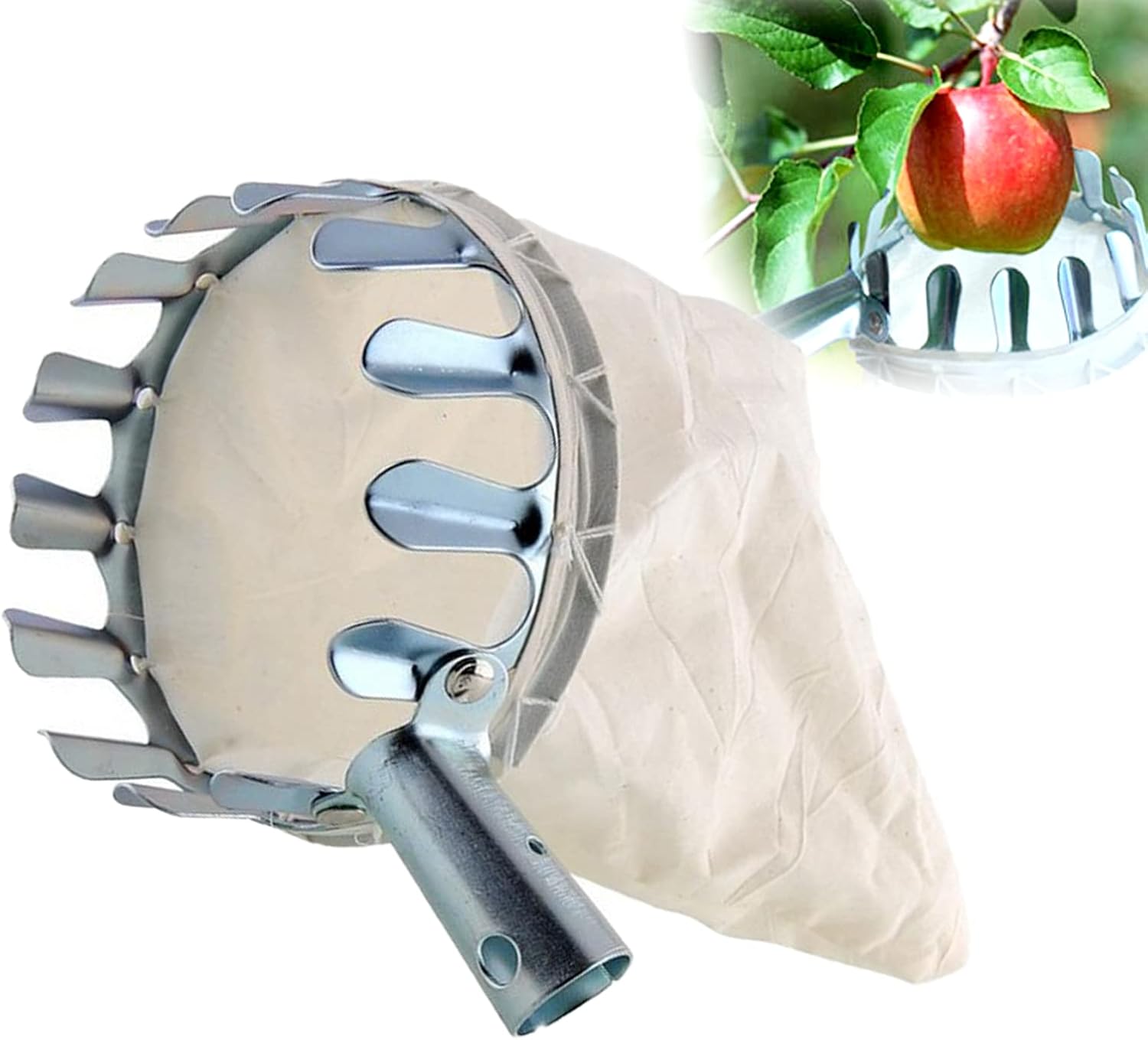 Obstpflückwerkzeug, 16 Cm Durchmesser, Zur Ernte Von Hochwachsenden Früchten (silber)