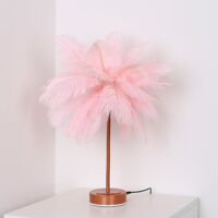 Led-nachttischlampe In Form Eines Löwenzahns, Mit Kupferkabel Und Einer Romantischen Rosa Feder.