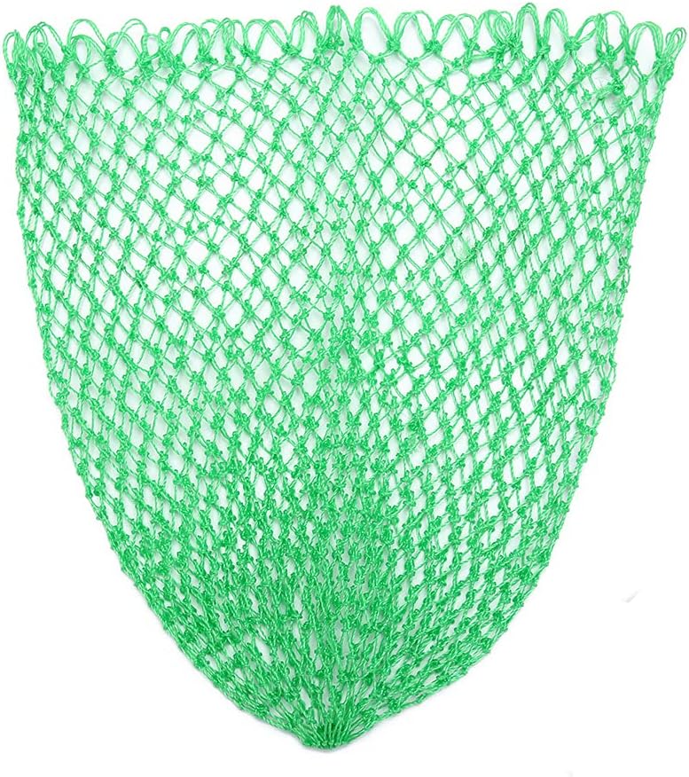 Umgetauschtes Fischfilet In Heißem Wasser Und Salzigem Wasser, Grün, 6 Schwänze