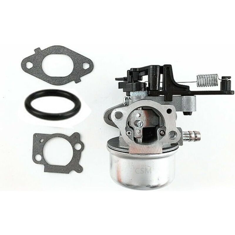 Vergaser Für 800ohv-motor, Ersatzteilnummer 799226, Dichtung Und Dichtungsringe -