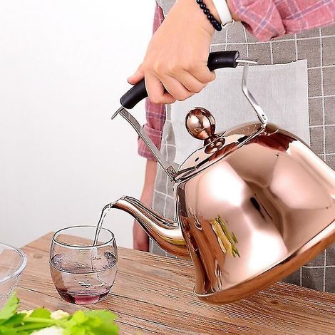 2-liter-wasserkocher Aus Edelstahl Mit Pfeife – Verbrühungsschutz – Geeignet Für Gas- Und Induktionsherde – Ergonomisches Design