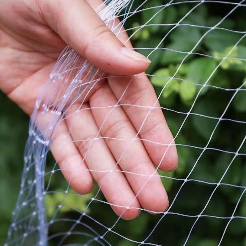 Katzennetz Für Balkone, Katzenschutznetz, Hochelastisches Nylon, Vogelschutznetz, Gartennetz, Taubenschutznetz, Euterschutznetz (10x3m/transparent)