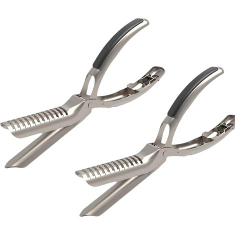 Zwei Versilberte Werkzeuge Zum Häuten Von Rippchen (je 22 X 7 Cm), Ideal Zum Grillen Von Rippchen. Ein Unverzichtbares Küchenutensil.