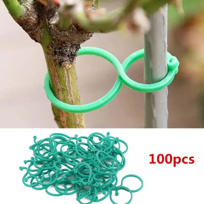 Großer Garten-rattan-gurtclip, Pflanzenringstütze, Tomatenpflanzenstütze, Werkzeug, Stützwerkzeug