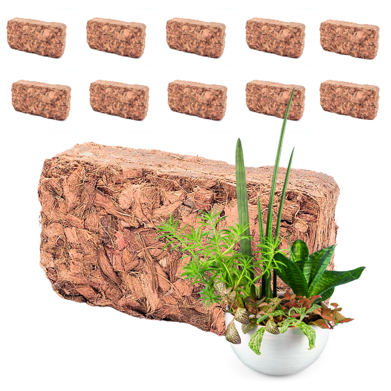 Kokosbriketts, Substratchips Für Pflanzen Und Blumen, 0,5 Kg, 10 Stück
