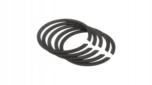 Ringetui 87016255, Neu, Holland Cnh Original