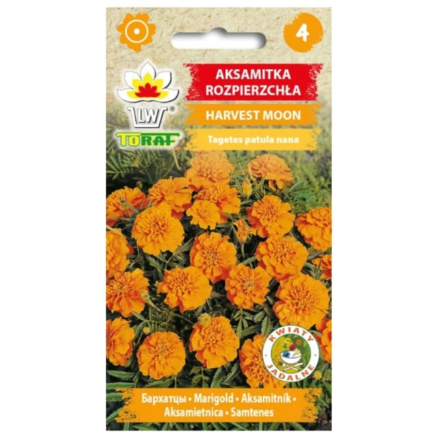 Ringelblume, Orange, Erntemond, 1 G