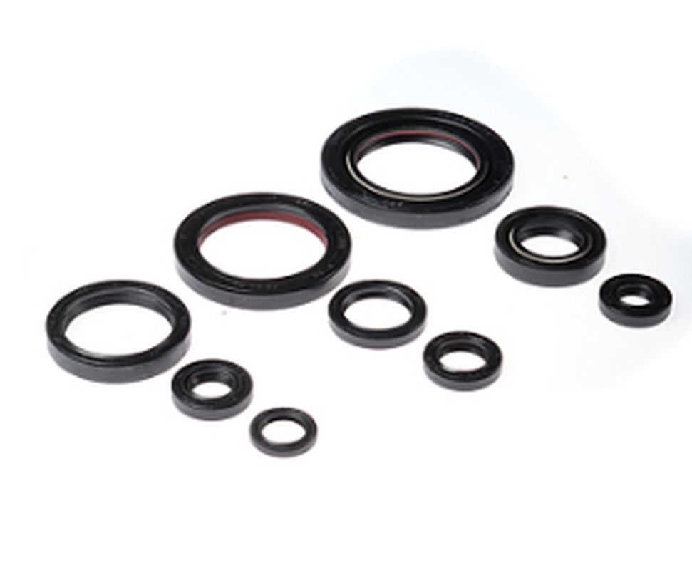 Bearing Worx Motordichtungssatz Honda Trx 450er '06-'14, Trx 450r '06-'09 (822312)