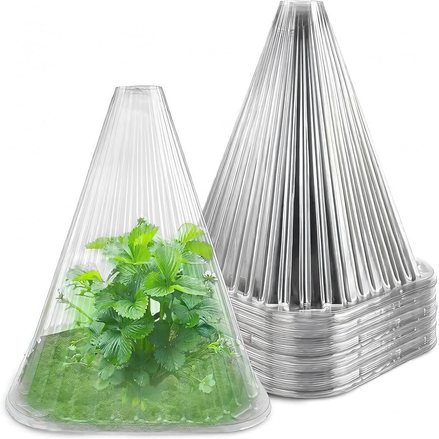 20 Gartenpflanzenglocken, 16 Cm X 14 Cm, Transparente Kunststoffdeckel, Wiederverwendbare Mini-gewächshäuser Zum Schutz Vor Sonne, Schnee, Vögeln Und Insekten.