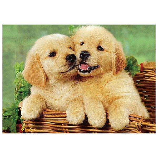 5d-diamantmosaik – Hunde 40 X 30 Cm