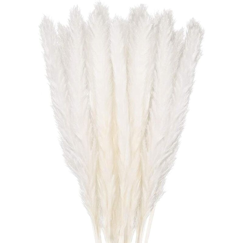 Getrocknetes Pampasgras-dekorationsset, 30er-set, Dekorativer Blumenstrauß Für Die Vase Zu Hause, Pampasgras 45 Cm, Dekorative Pflanzenverzierung Für Tisch, Schlafzimmer, Balkon, Hochzeit, Hotel, Beig