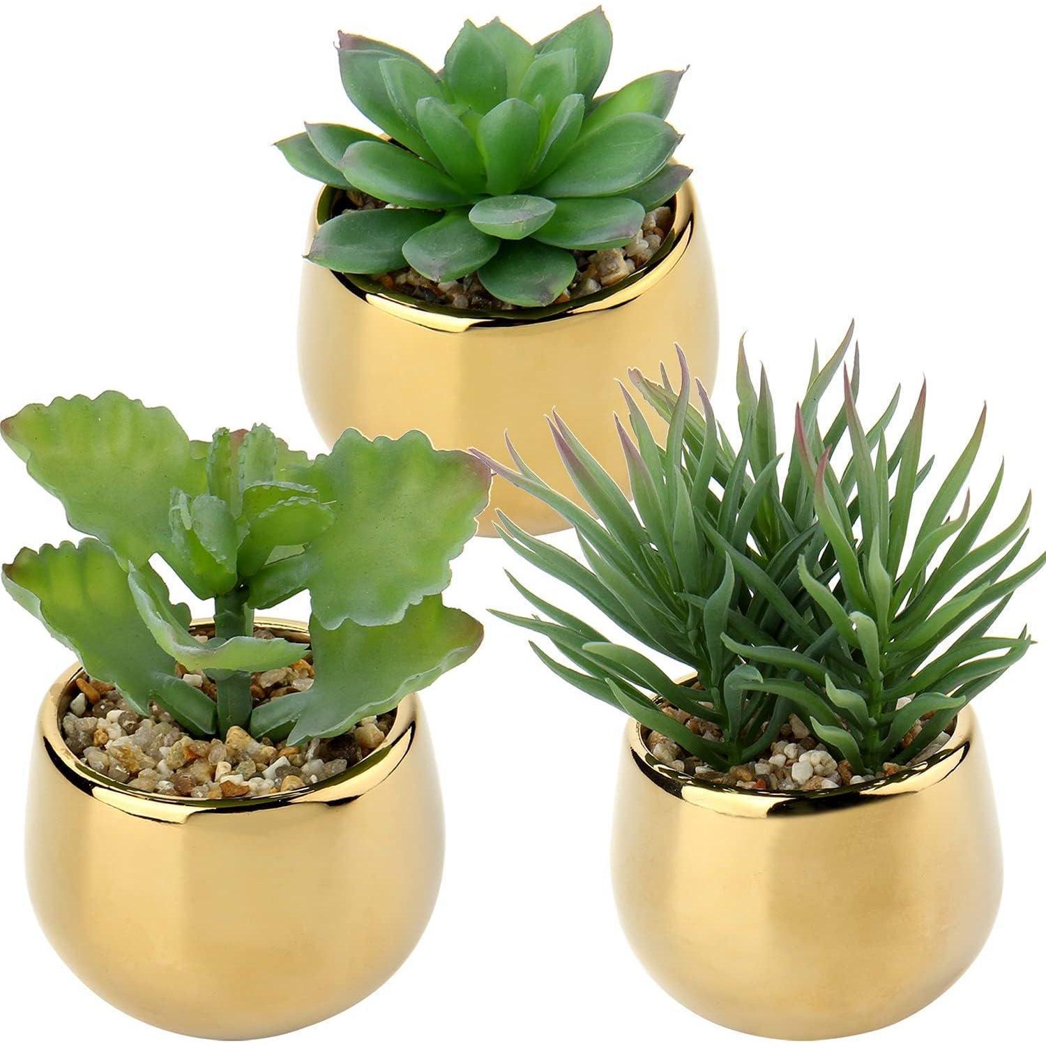 Kunstpflanze Sukkulenten 3 Pcs Keramiktopf Deko Balkon Gold Type-2