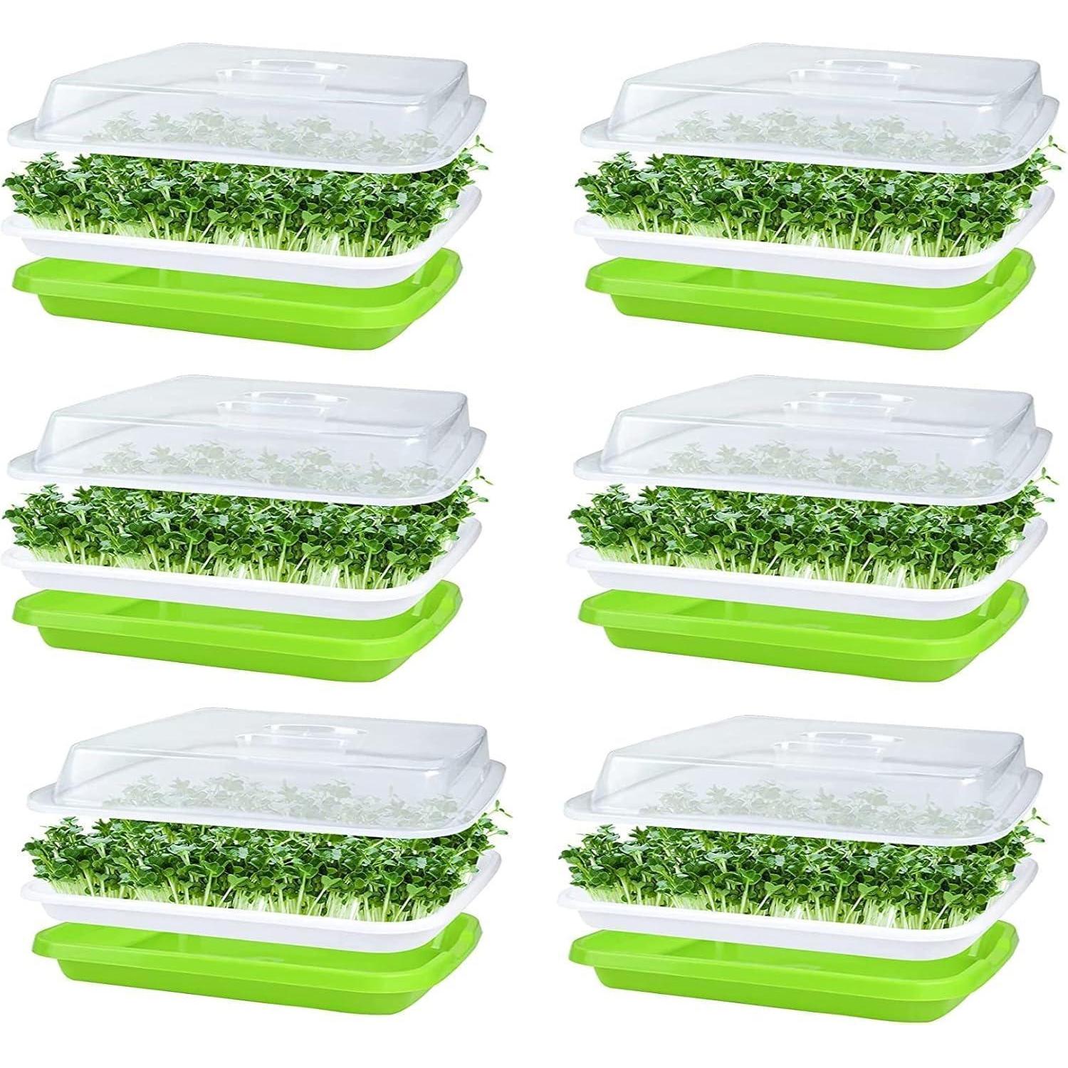 Keimschalen Sprossen Seed Sprouter Tray 32x26cm Deckel Große Samen Keimung