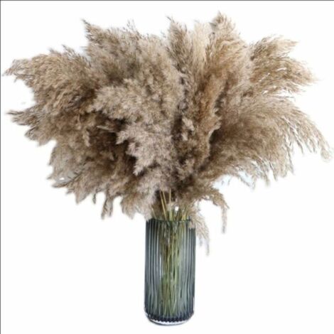 Pa Pampas-schilf, Natürliches Ornament, Braune Getrocknete Blumen, Blumenstrauß, Pampas-schilf, Getrocknete Blumen, Bohemian-ornament, Zuhause, Wohnzimmer, Hochzeit, 60 Cm, Natürliche Getrocknete