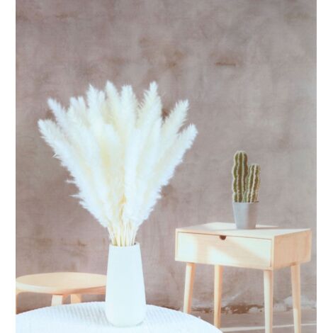 Pair 15 Stück Natürliches Pampasgras, 60 Cm Kleiner Phragmites Communis, Getrockneter Blumenstrauß Für Zuhause, Hochzeit, Hotel, Tisch, Schlafzimmer, Dekoration, Fotografieren (weiß)