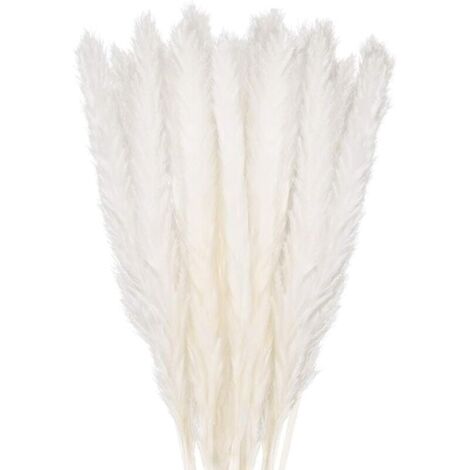 Pair 30 Stück Pampasgras, 58 Cm Natürliche Pampasblumen, Getrockneter Blumenstrauß Für Vasen, Weiße Boho-dekoration, Schlafzimmer, Zuhause, Wohnzimmer, Hochzeitsfotografie, Tischdekoration