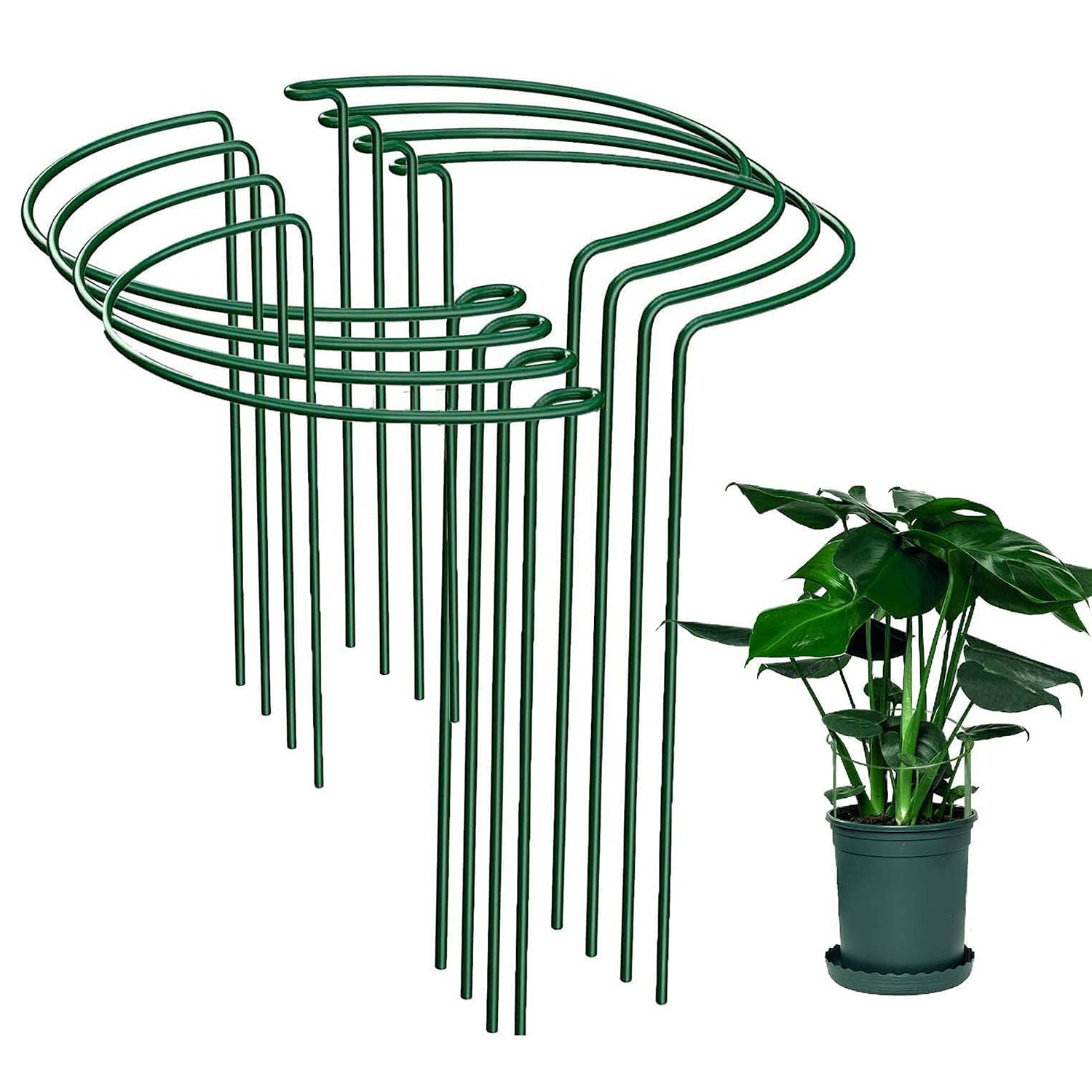 Pflanzenstützen: Set Mit 8 Stabilen Metallstützen Für Kletterpflanzen – Verstellbare Stützen Für Tomaten, Weinreben Sowie Zimmer- Und Gartenblumen, 25 X 40 Cm