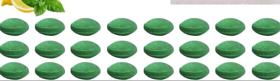 24 Stück Natürliches Minz Schädlingsabwehrmittel, Mäuseschutzgranulat, Nagetierabwehrkugeln, Schädlingsabwehrmittel Gegen Mäuse,ratten Und Spinnen,langanhaltend, Für Haus, Garten, Auto, Garage
