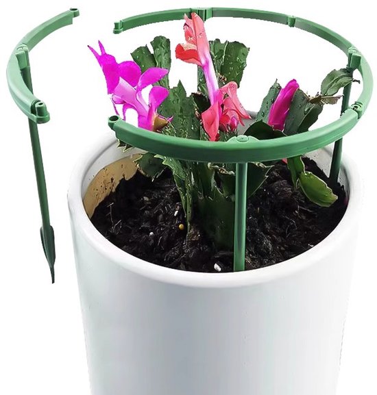 12 Pflanzenstützen Kunststoffkäfige Kleine Pflanzenstützringe 25 X 25 Cm Für Zimmer Und Gartenpflanzen
