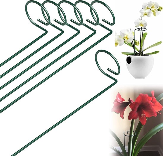 Stützring Für Gartenpflanzen 40 Cm Lange Metallstäbe Für Tomaten, Lilien Und Rosen