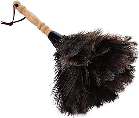 Staubtuch Mit Bambusgriff Und Straußenfedern – 32 Cm