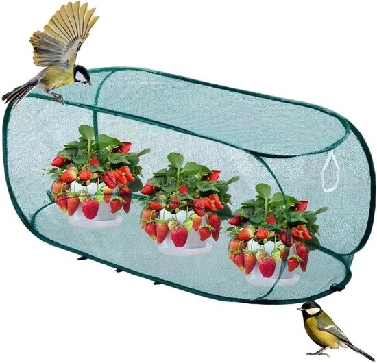 Insektenschutznetz Mit Stahlrahmen Für Den Garten, Gegen Staub, Mücken Und Vögel, Für Gemüse, Obst, Blumen Und Tomaten