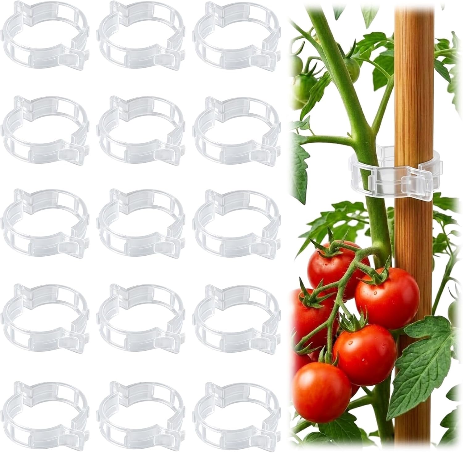 100 Tomatenclips Für Kletterpflanzen – Pflanzenstützen Aus Kunststoff – Wiederverwendbar Für Tomaten, Weinreben Und Gemüsepflanzen Im Garten