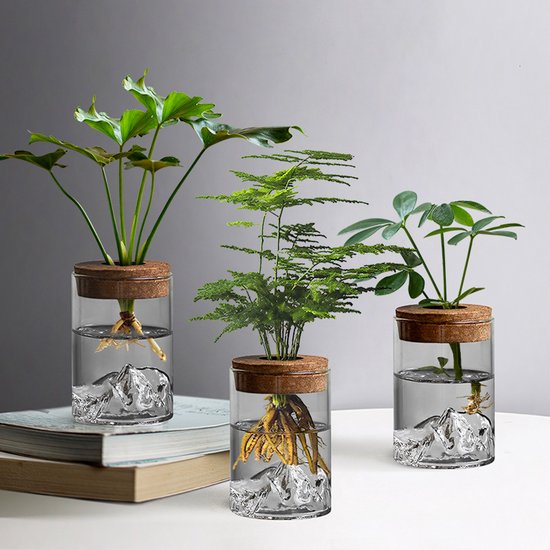 Pflanzstationen Tisch Terrarium Mit Holztablett Und Deckel Für Den Anbau Von Hydrokulturpflanzen Dekoration Für Büro Und Zuhause Pflanzen Nicht E
