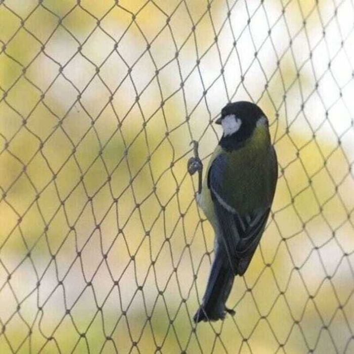 Vogelschutznetz – 10 X 5 Meter – Maschenweite 1,5 X 1,5 Cm – Schwarz – Strapazierfähiges Nylon