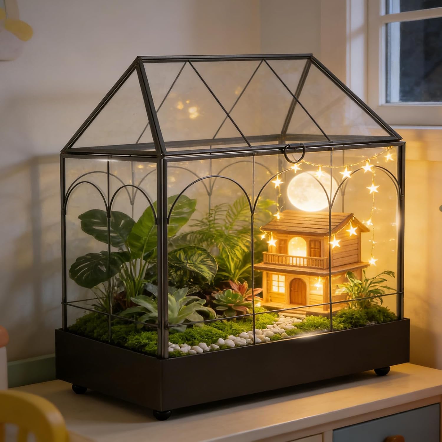 Pflanzen-terrarium, 24,2 X 14,7 X 29 Cm Geometrisches Glas-terrarium Mit Tropfschale, Geschlossener Kasten Für Mikrolandschaften, Ideal Für Sukkulenten Und Farne (pflanzen Nicht Enthalten)
