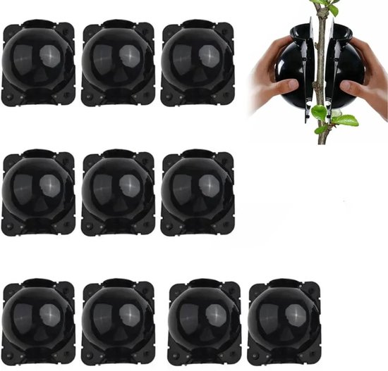 10 Stück Pflanzenpfropfreiser - Pflanzenbewurzelungsbox - Stecklinge Zum Veredeln Und Bewurzeln Von Pflanzen, 8 Cm (schwarz)