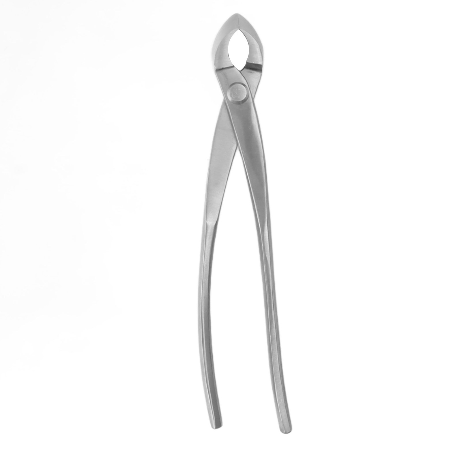 210-mm-pflanzenschere, Knospenschneider, Bonsaischere Aus Edelstahl, Stielschneider Für Blumen Und Kräuter, Silberner Stielschneider