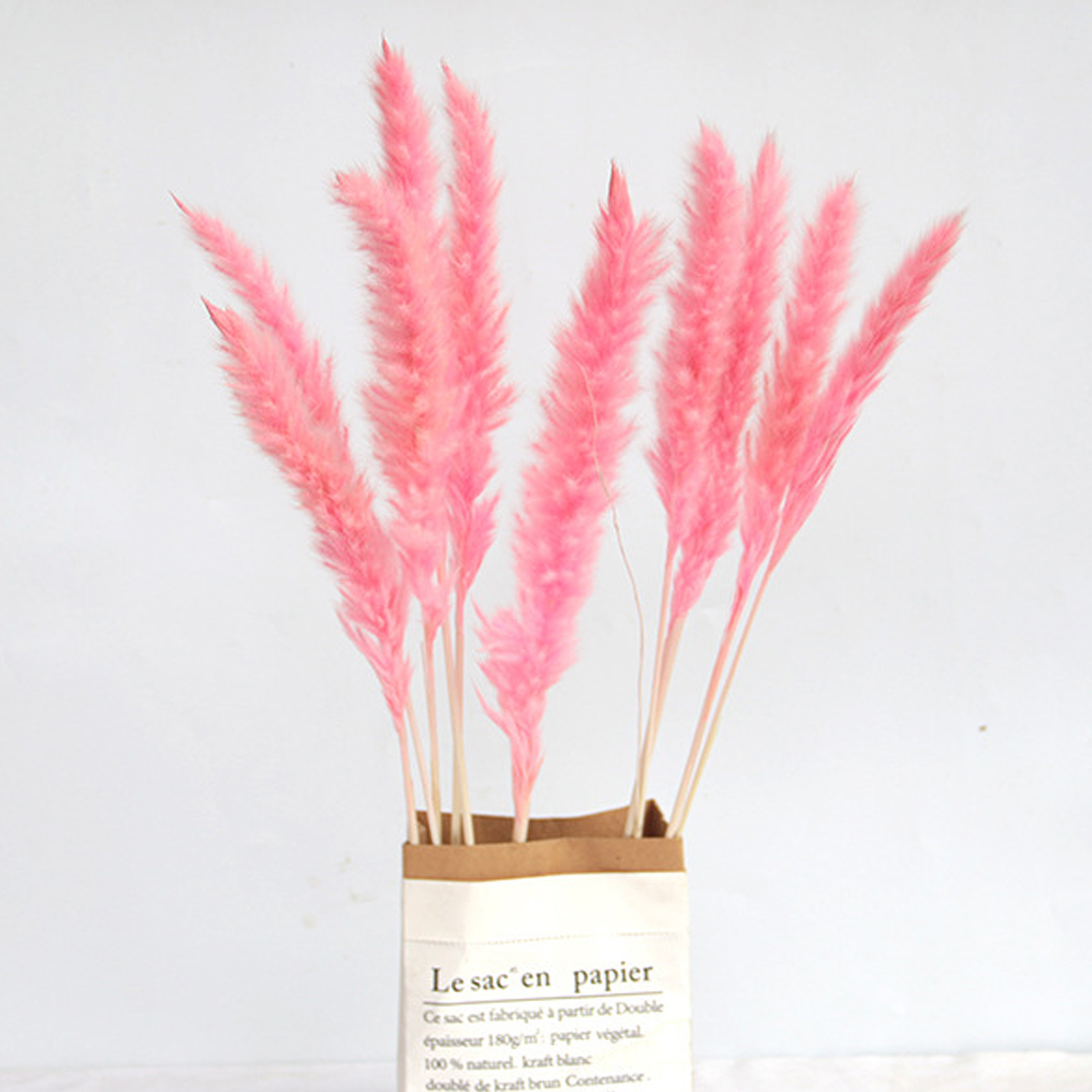 Getrocknetes Pampasgras, Natürliche Schilfblüten, Getrockneter Pampasgras-blumenstrauß Für Boho-wohndekoration