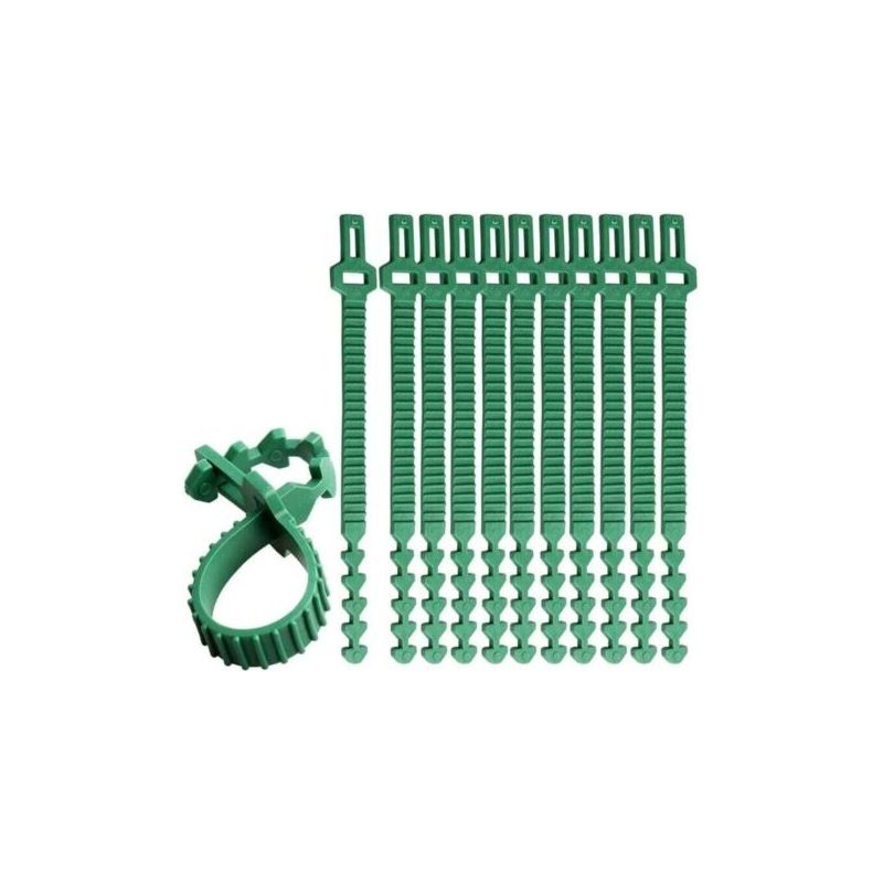 Pa 10 Stück Fascette Für Widerstandsfähige Pietät, Ring Für 24 Cm Verstellbare Alberi, Fascette Für Piante Da Giardino Ad Incastro Zur Unterstützung Von Rose Und Arbusti