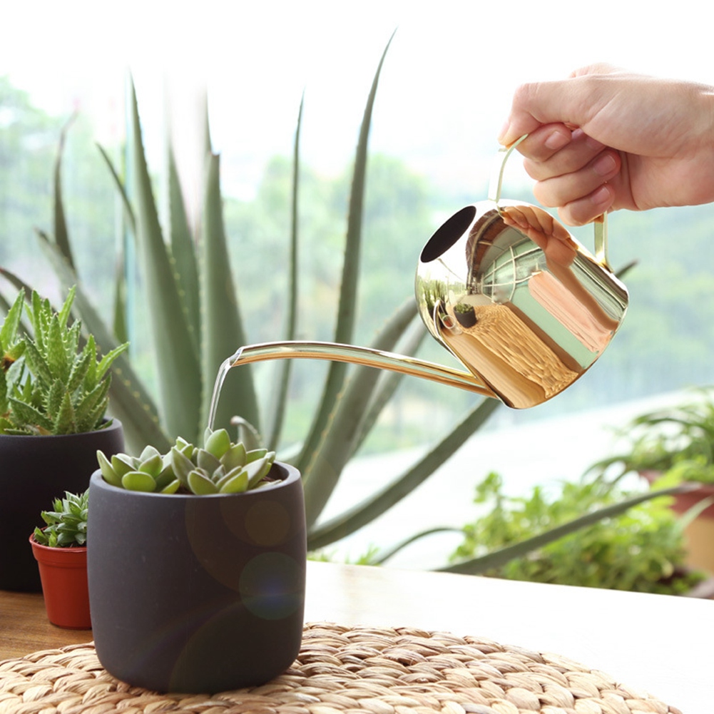 500-ml-gießkanne Aus Edelstahl Mit Langer Öffnung Für Zimmer- Und Gartenpflanzen, Gold