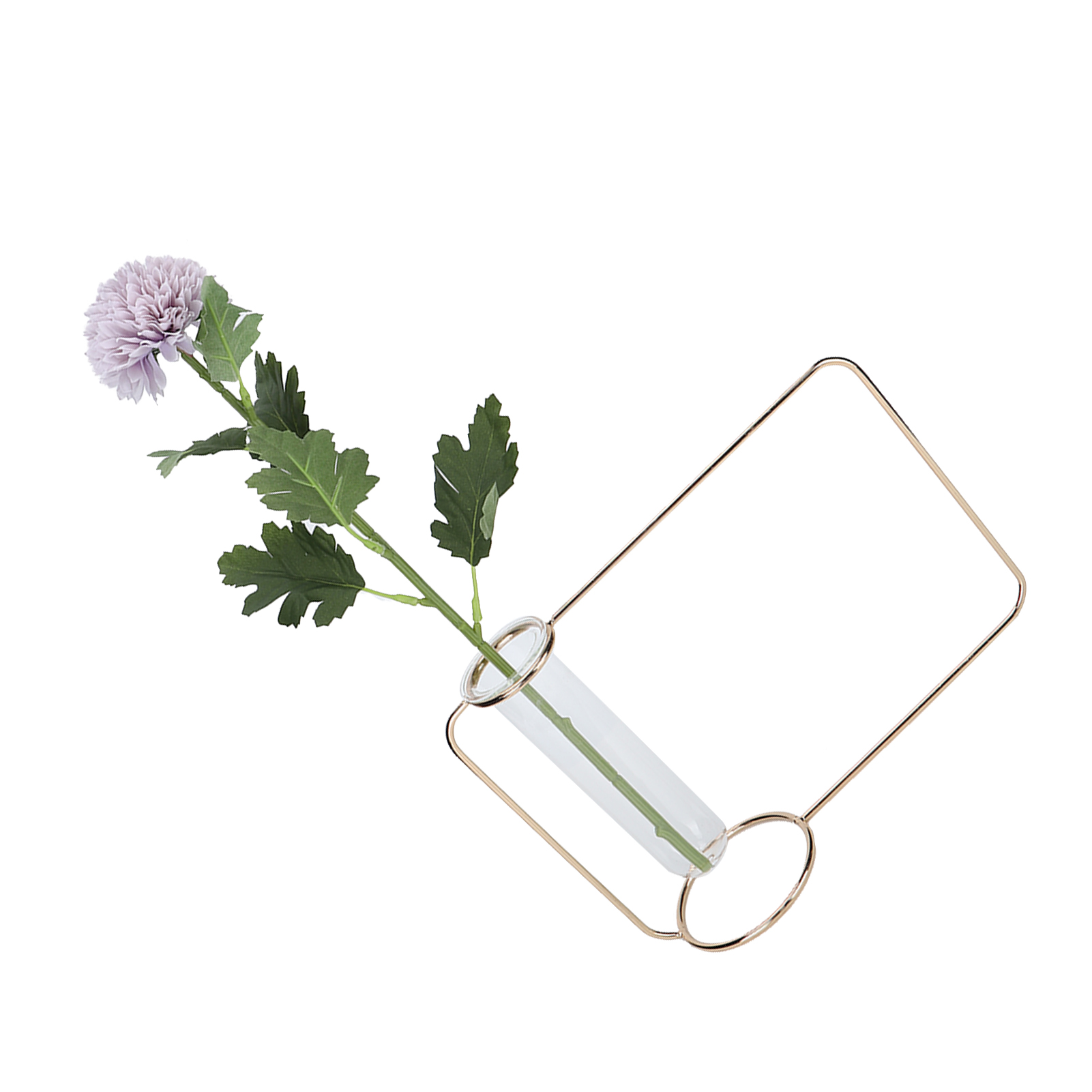 Innovativer Hängepflanztopf Im Reagenzglas-design, Transparent, Für Hydrokultur-pflanzen, Für Zuhause, Indoorgold